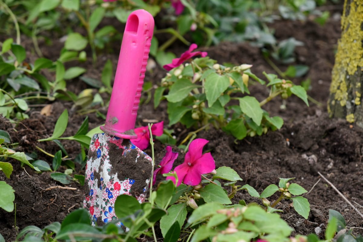 Gartentag